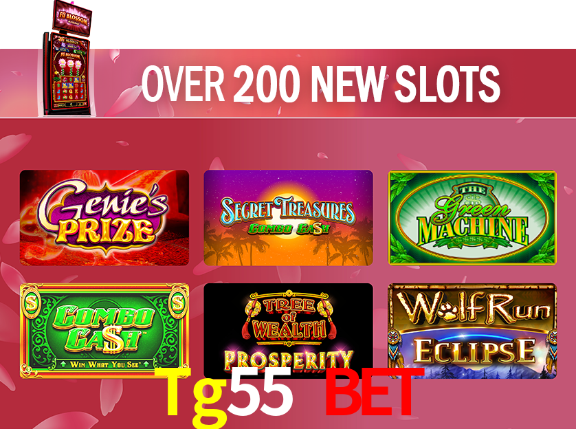 Tg55 Bet